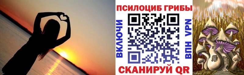 Псилоцибиновые грибы Psilocybine cubensis  Голицыно 